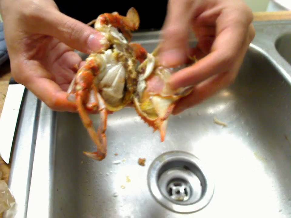 How To Clean A Blue Crab