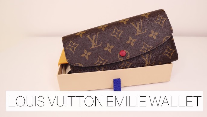 6 MONTH REVIEW: LOUIS VUITTON EMILIE WALLET 