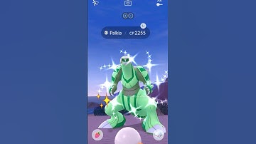 When I got ✨ Shiny Legendary Palkia in Pokemon GO.