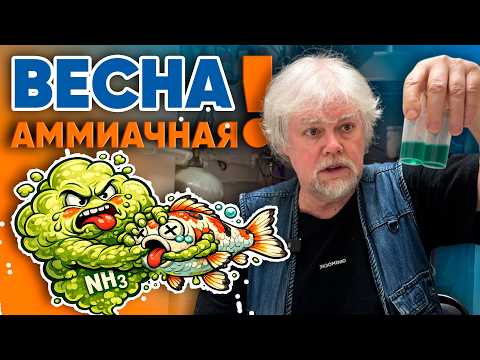 Aquarium Stories from EXOMENU (03/13/2026). Ammonia Spring!