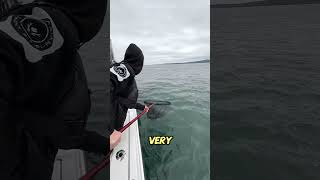 THIS MAN MISTOOK A STRANGE OBJECT FOR A FISH😱 #shorts #shortsfeed #viral