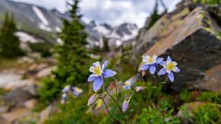 Peace in the Mountains, Beautiful Relaxing Music, Peaceful Soothing Instrumental Music, by Tim Janis screenshot 5
