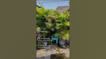 Thumbnail of Warung makan Betawi bang Juki