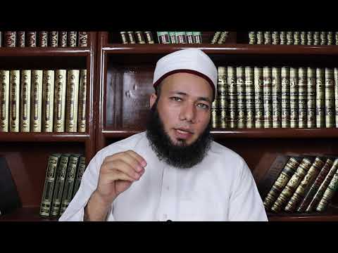تفسير من رأى جبريل عليه السلام
