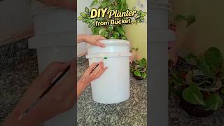 5 Minute DIY Plastic Bucket Planter 🌿 | Easy Gardening Idea #shorts#bestoutofwaste#diy#shortscraft