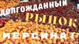 Видео по запросу "курс гривны к рублю 2007 год"