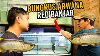 BUNGKUS ARWANA RED BANJAR DI MTZ AROWANA!
