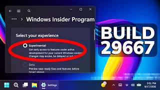 New Windows 11 vNext Build 29667 – Huge Features and Platform Changes for Next Windows 11 Version