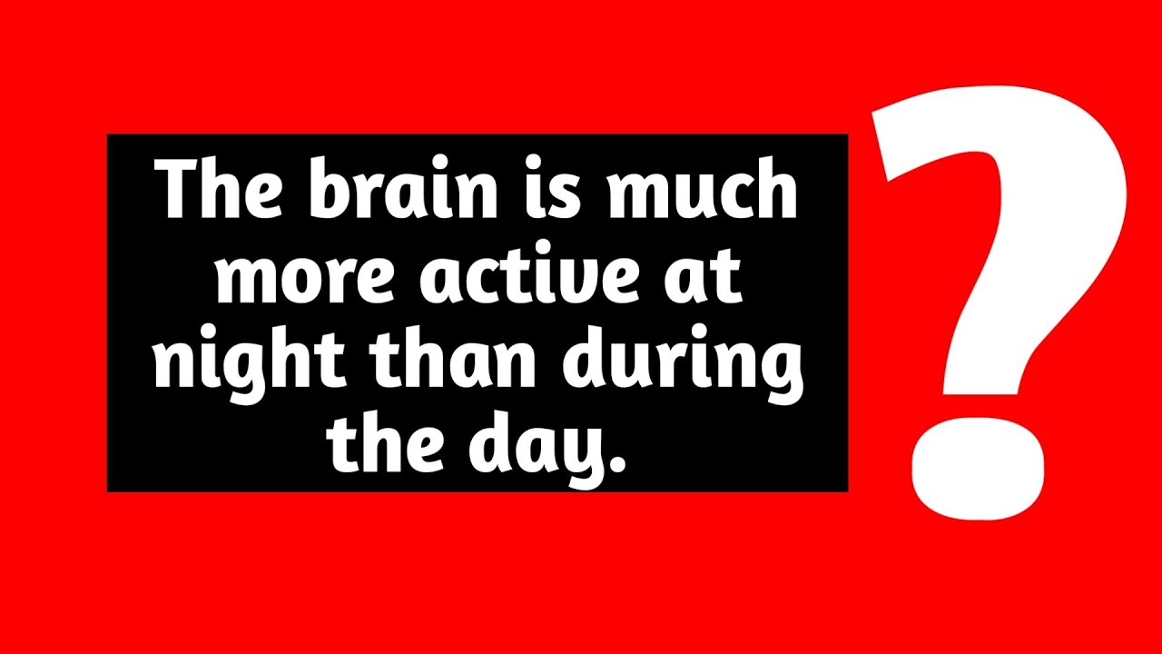 The Brain Is Much More Active At Night Than During The Day YouTube
