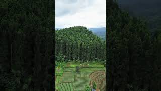 dji mini 3 tes flight #drone #djimini3 #dji #dronefootage