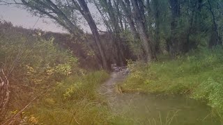 STREAMSIDE RESORT