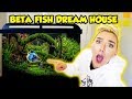 MAKING MY BETA FISH HIS DREAM HOME | NICOLE SKYES