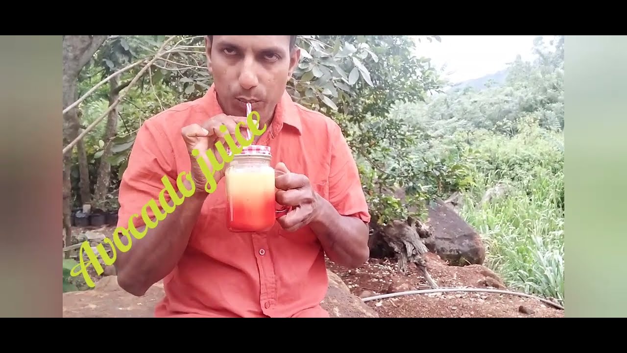 Fresh avocado juice recipe 