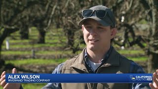 California Politics 360 Full Interview | Pear grower Alex Wilson