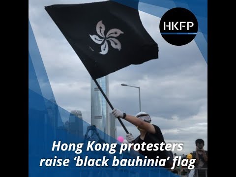 pressed cafe Hong Kong protesters raise 'black bauhinia' flag on SAR Establishment Day.