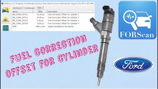Fuel Correction Offset For Cylinder - Forscan - Ford Mondeo Mk5 2.0 Tdci