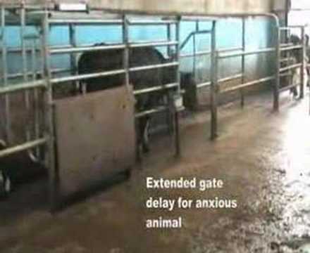 Greenoak Parlour Video 2