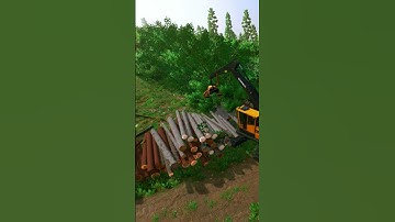 FS22: Processing - Platinum Expansion - Silverrun Forest - W/Static Camera