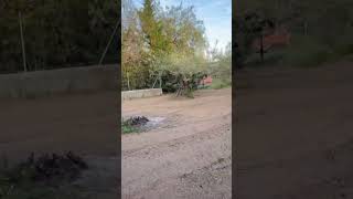 Trituramos La Cubierta Vegetal Y La Integramos Al Suelo