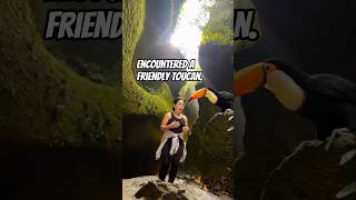 Encountered a friendly toucan. #shortvideo