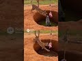 This Trap Turned Into a Nightmare