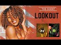 THE SCENT LOOKOUT | BLACK OPIUM ILLICIT GREEN, GOLDEN NECTAR AND MORE | NEW FRAGRANCES 2022