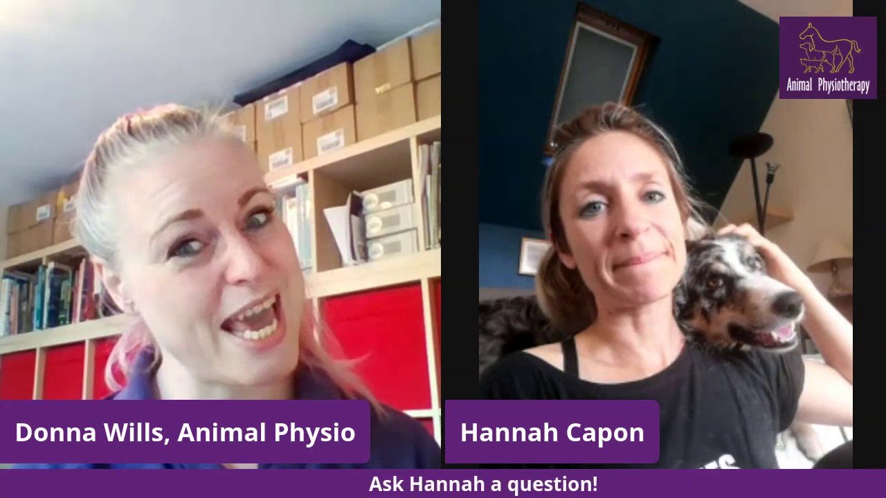 Cuppa Tea with the Vet - Hannah Capon!