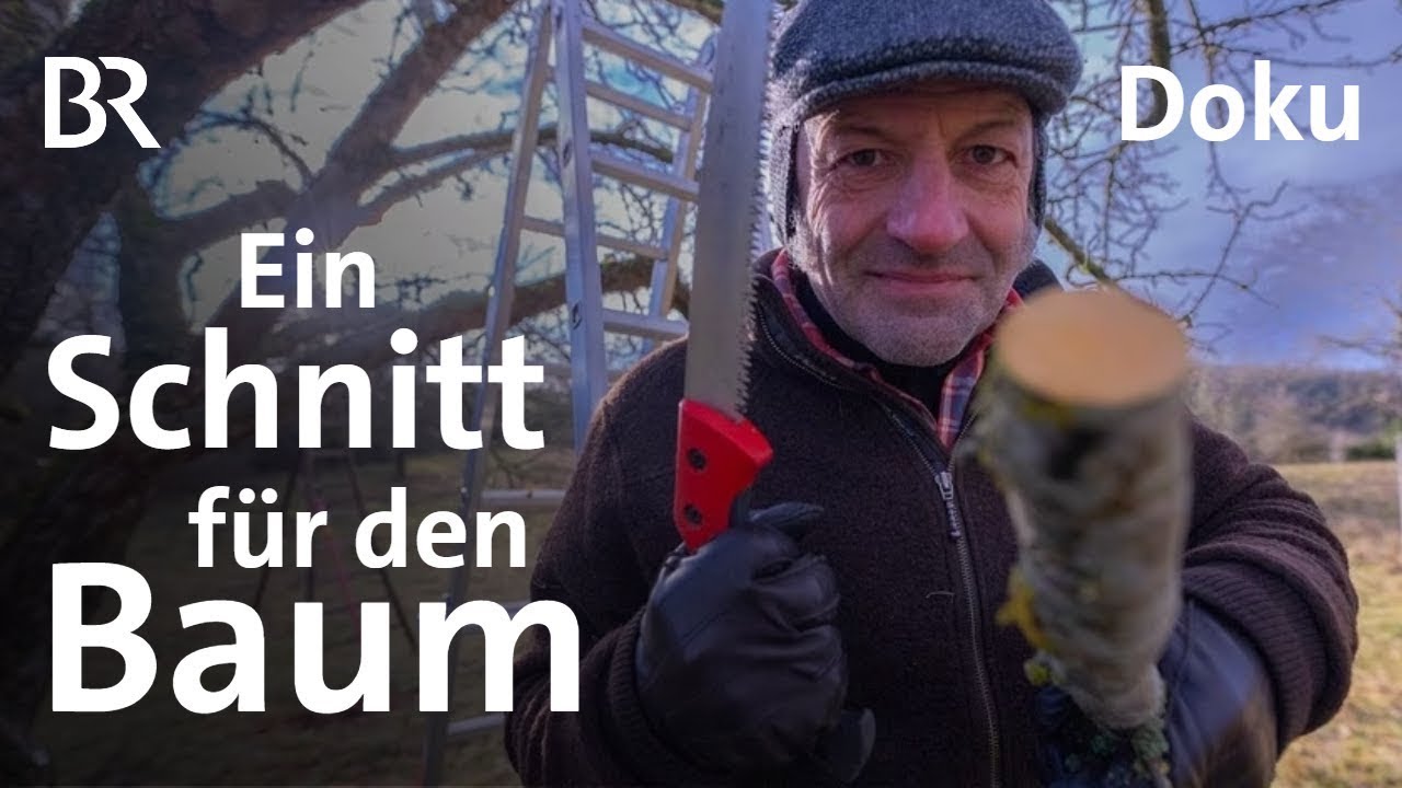 Streuobstwiesen: Baum zuschneiden und Baumpflege mit dem Schmidt Max | freizeit | Doku | BR