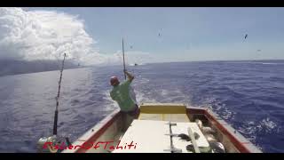 Skipjack Fishing Off Tahiti  Fishing In Tahiti  French Polynesia  fisheroftahiti