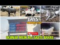 DEONAR BAKRA MANDI 2026 DAY5 |BAKRE HUE MEHGE😱 | LIMITE STOCK