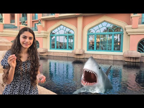We Went Behind the Scenes at Atlantis' Secret Fish Aquarium! 🐠😱