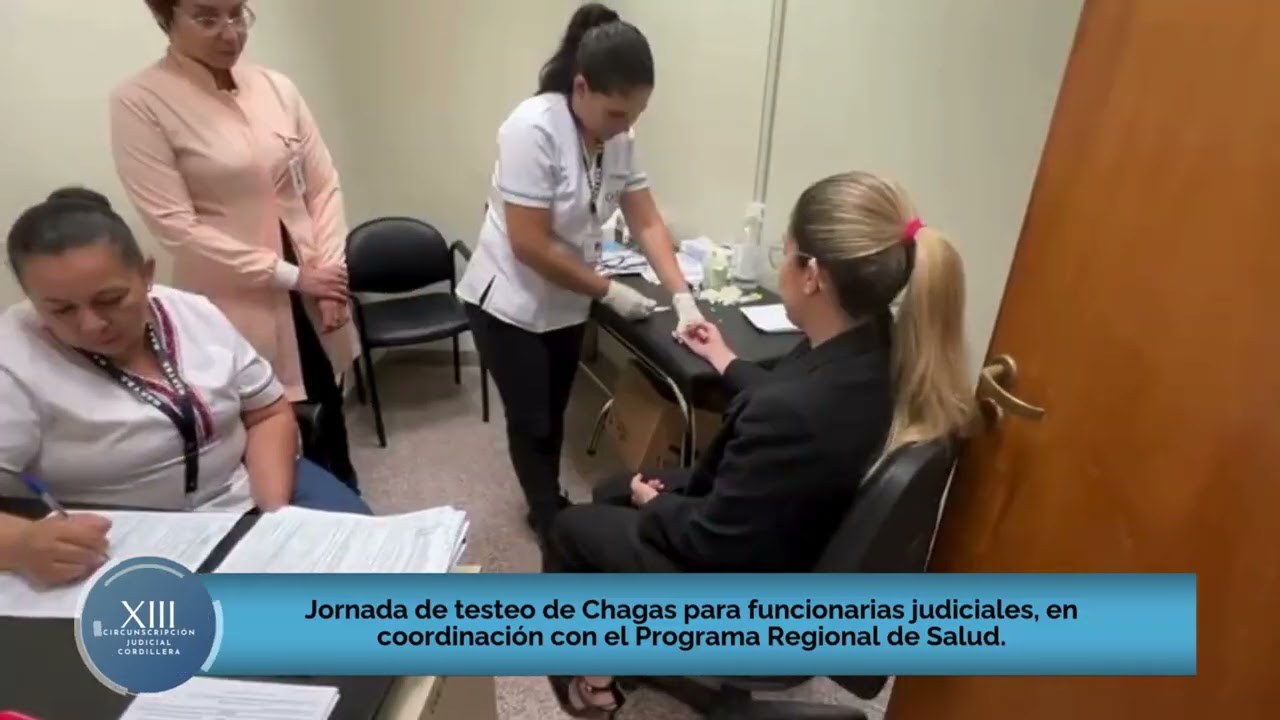 Resumen de las principales actividades desarrolladas en la Sede Judicial de Cordillera