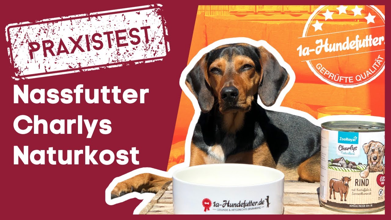 Defu Hundefutter Test (Erfahrungen & Bewertung)