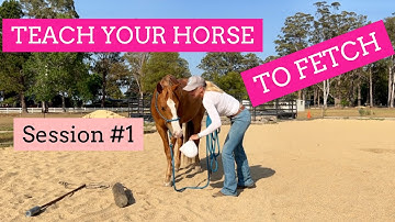 Teaching a Horse To Fetch : Key Point Tutorial Session One | Lara Coventry Cox Mahi Mahi Method