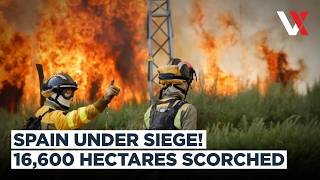 Spain In Flames Wildfire Scorches 16 600 Hectares As Crews Battle Blaze VERTEX
