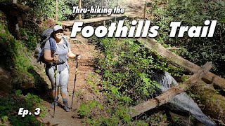 Day 3  Thru-hiking the 77 mile Foothills Trail.  Burrells Ford Campsite to Some Campsite on a Ridge