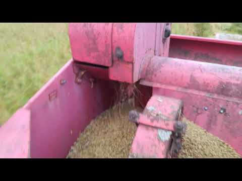 Massey Ferguson 30