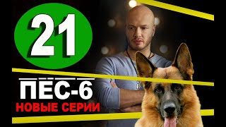 Пес 6 Новые Серии 2022 Года Пес 6 Новые Серии 2022 Года