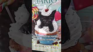 Welkom op mijn kanaal. Ken jij mijn boeken al? #kat #zwartekat #kinderboek #katten #boeken #boek