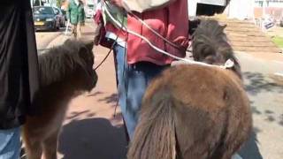 30 09 2011 Ponyweek Heeten
