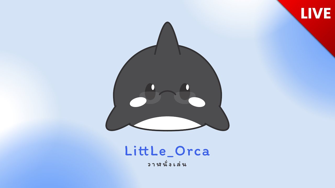 วาฬนั่งเล่น LittLeOrca Live stream 08/09/2025 