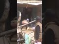 Mwingi people stealing from Somali businesses 😳 #fypシ #reels #somalia #kenya #citizentv #kitui #rut