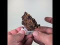 Vidéo: Wulfénite, Mine Ojuela, Mexique, 69 grammes
