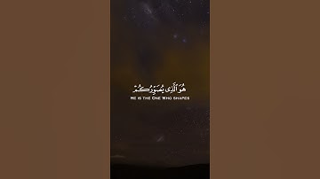 القارئ سالم الرويلي - سورة آل عمران | مقاطع قرآن قصيرة وحالات واتس إسلامية 🌱