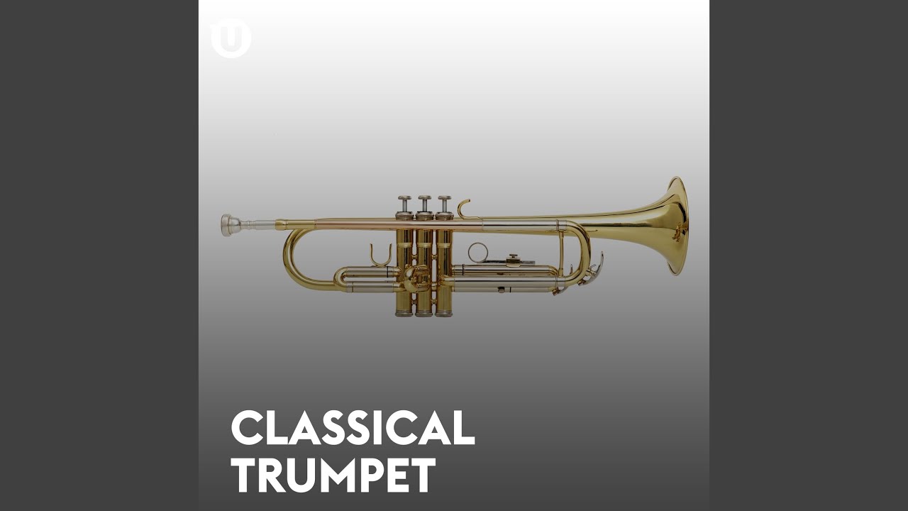 J. Fasch Trumpet Concerto In D Major, FWV LD1 1. Allegro YouTube