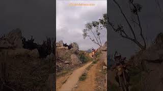 ⚙️ Uncharted Territories ⚙️ Vietnam Motorbike Tours #vietnam #motorcycle #motorbike #tour #wayoflife