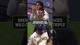 Milwaukee's dugout is loving the fast start from the Brewers! #mlb #baseball #brewers #worldseries