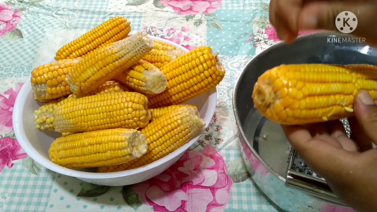 como reaproveitar o milho verde depois de começar a endurecer
