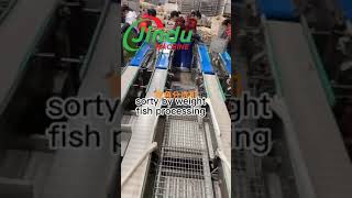 weight sorting machine conveyor belt for  ribbon fish #machine #weighingsystem