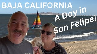 San Felipe, BAJA CALIFORNIA (What We Saw in 1 Day!)